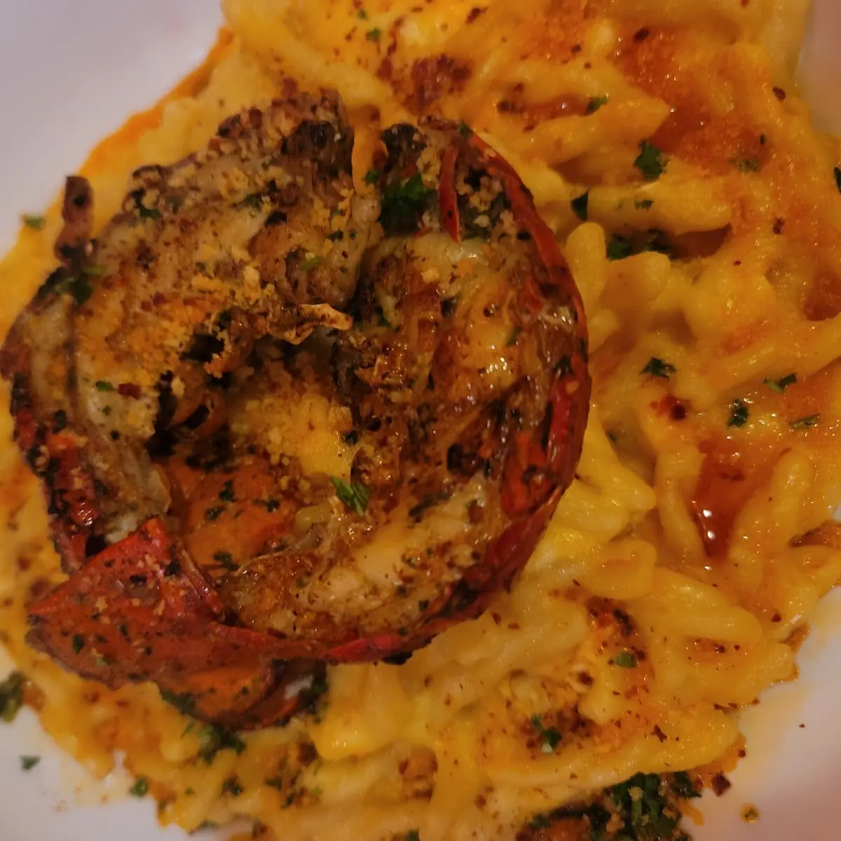 Lobster Mac and Cheese