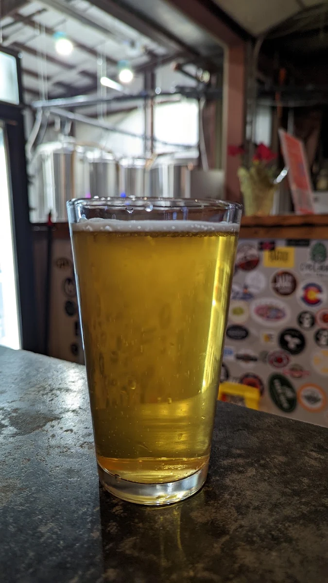 Session IPA