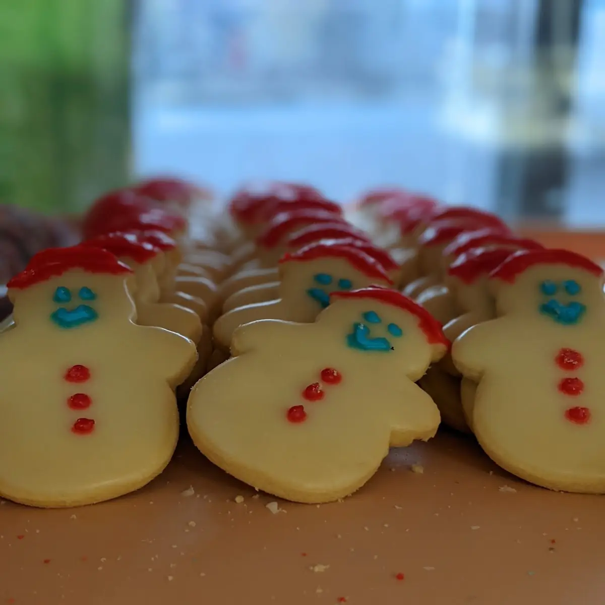 Iced Sugar Cookies
