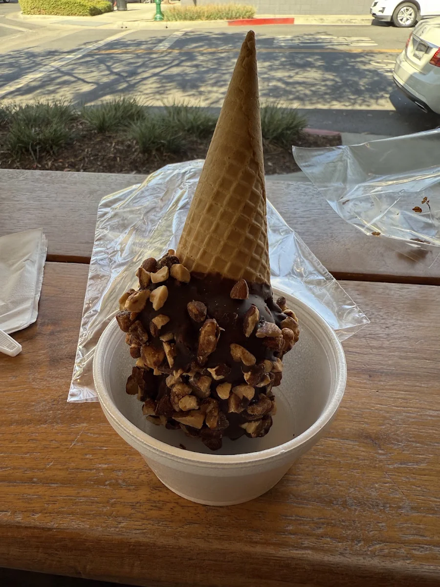 Hand Dipped Ice Cream Cone with Almonds