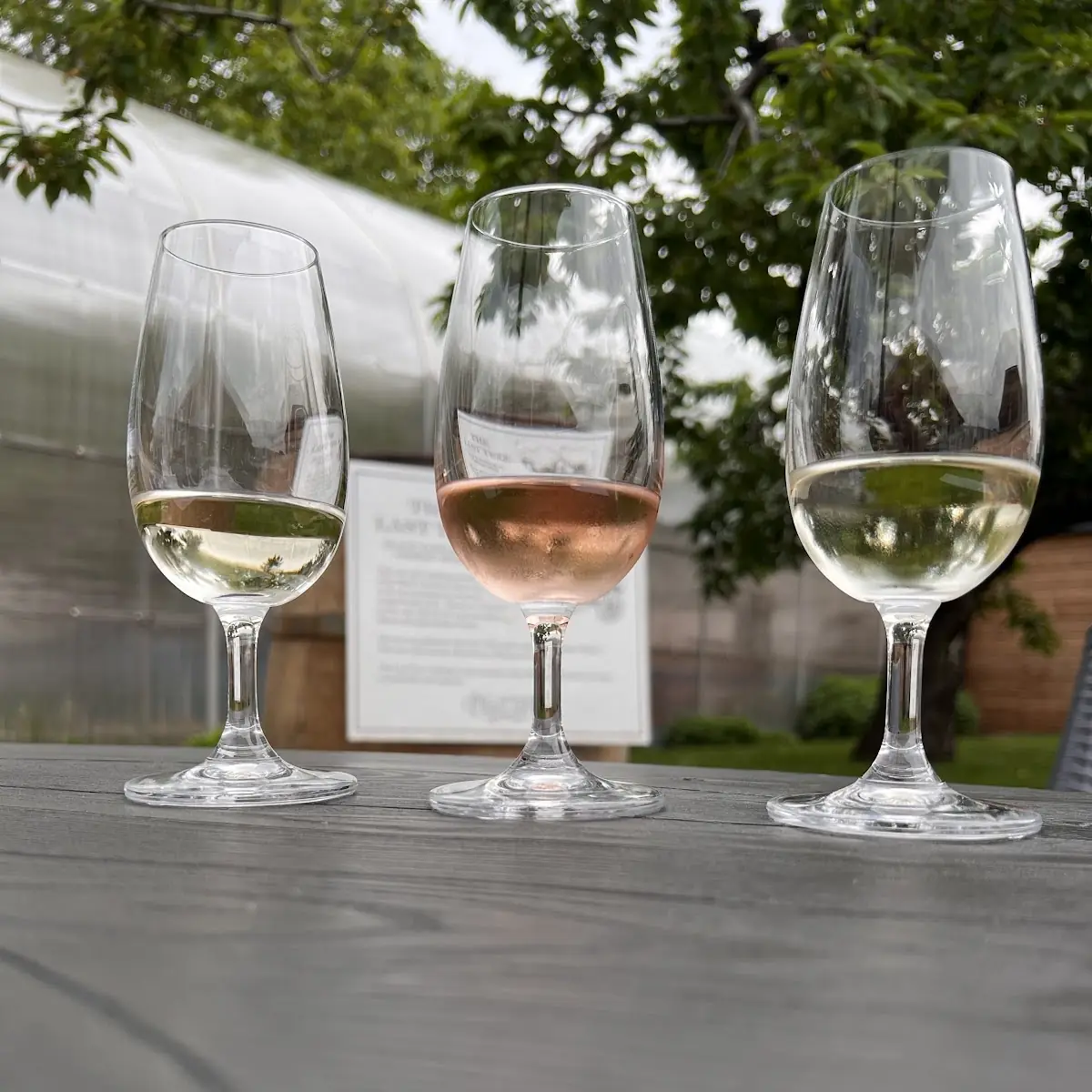 Wine Tasting, BarrelHead