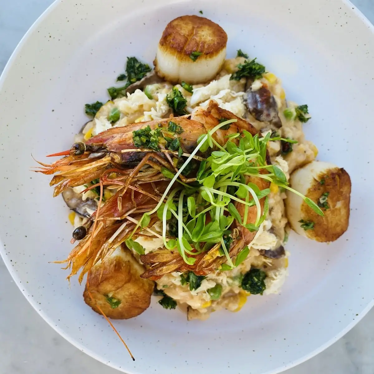 Seafood Risotto