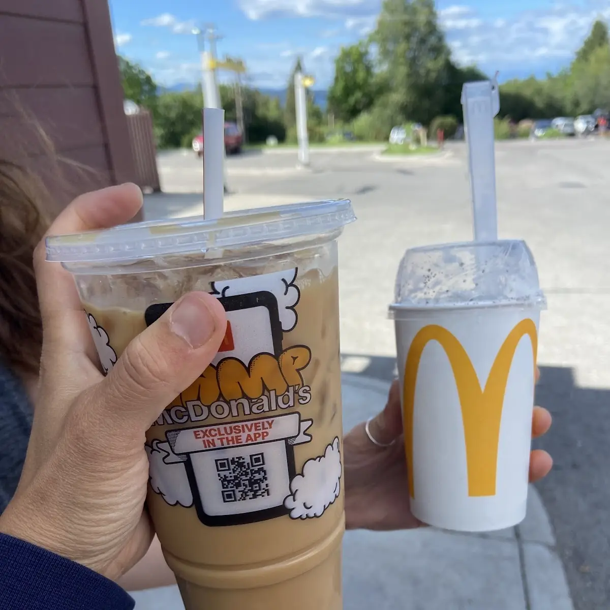 Large Hazelnut Iced Coffee and Regular Sized Oreo Mcflurry