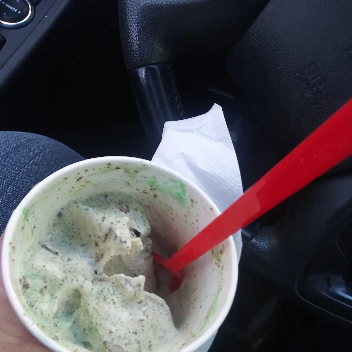 Mint Oreo Blizzard Treat