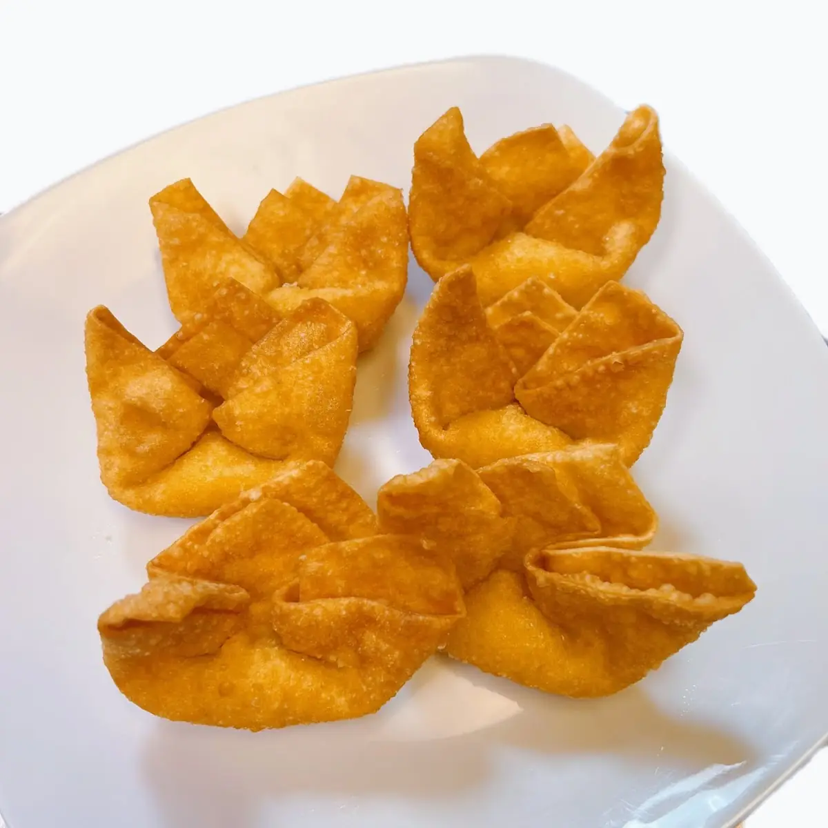 Fried Wonton