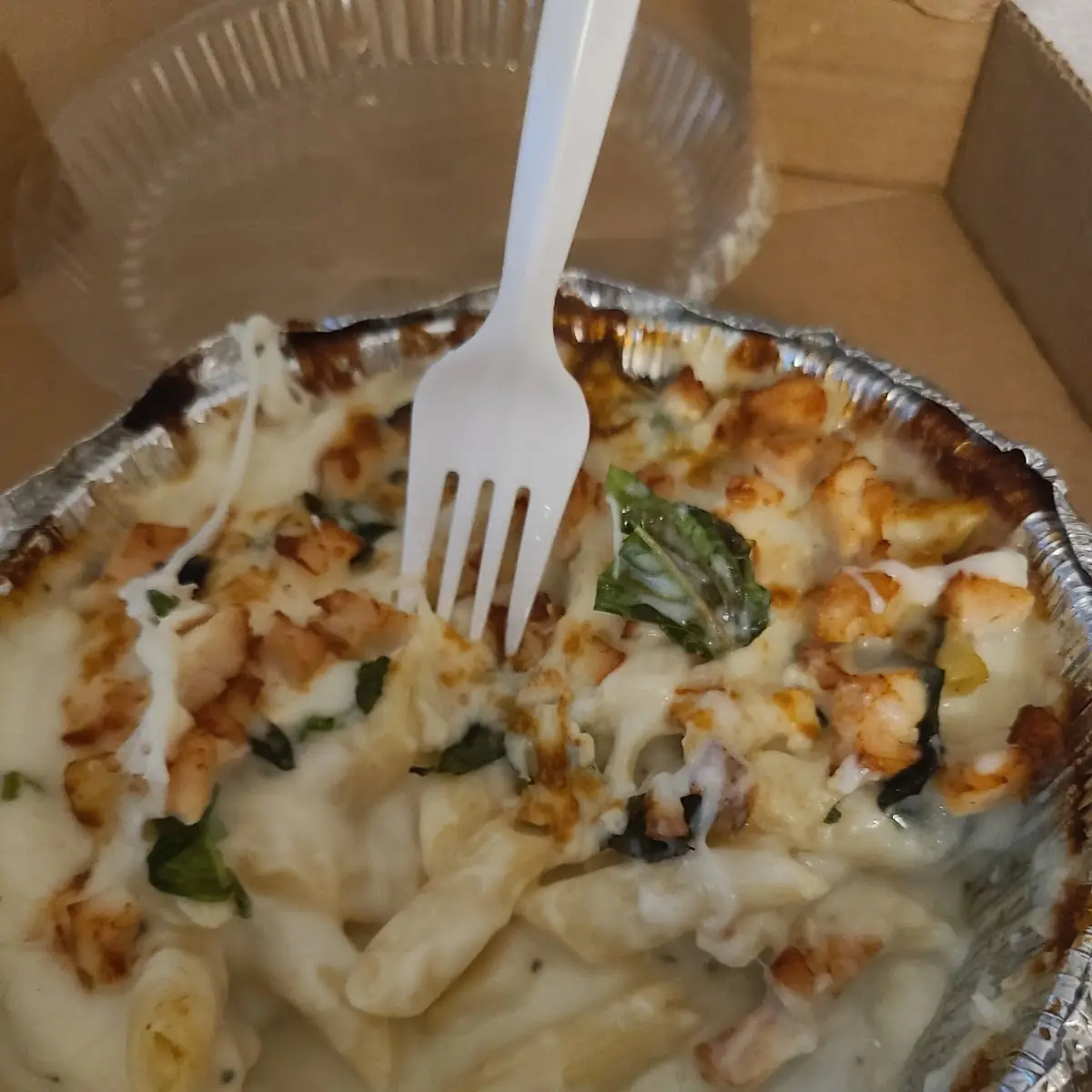 Chicken Alfredo Pasta