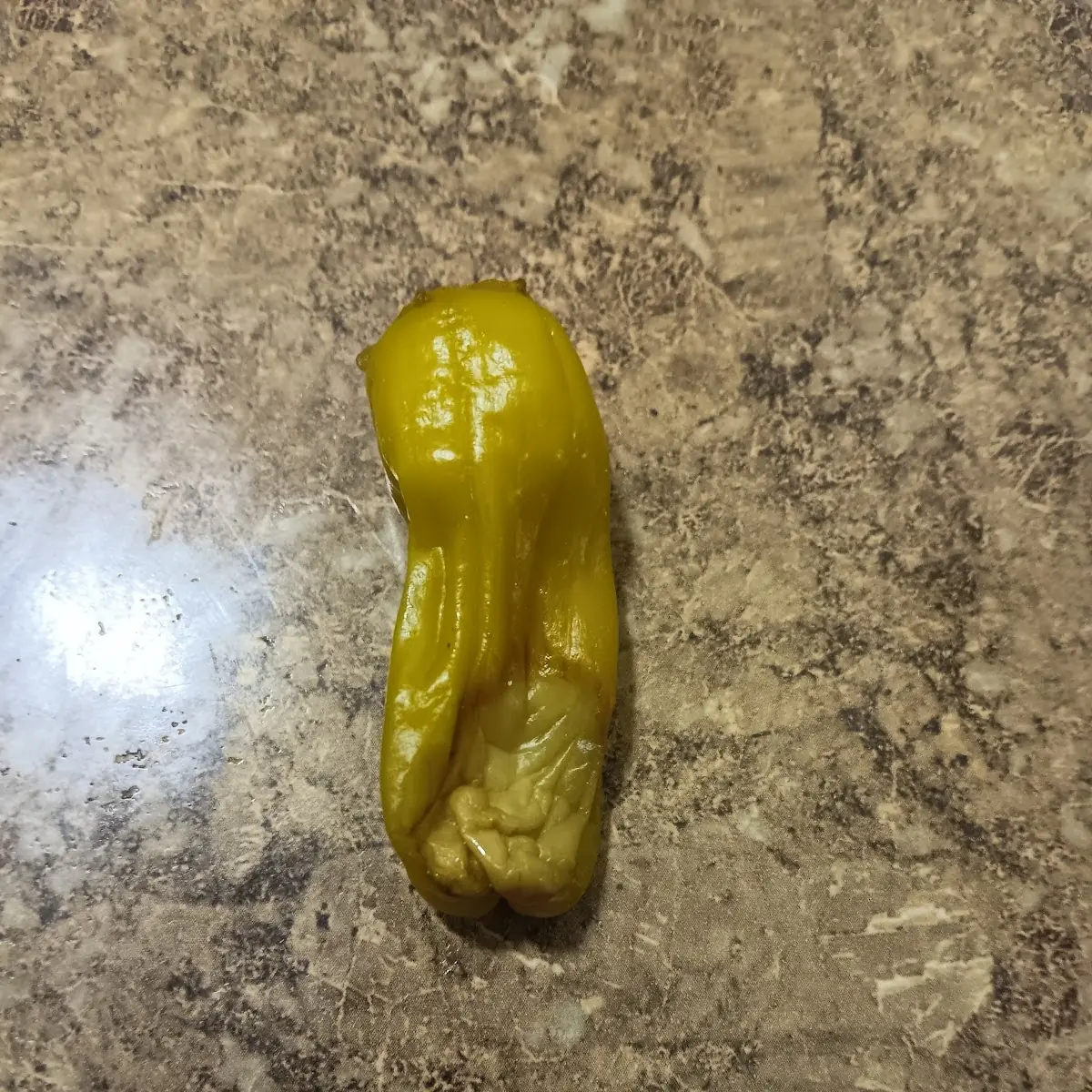 It Came with My Pizza