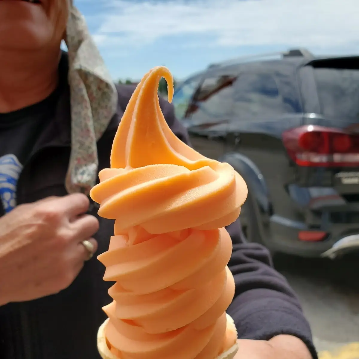 Tangerine Soft Serve Ice Cream