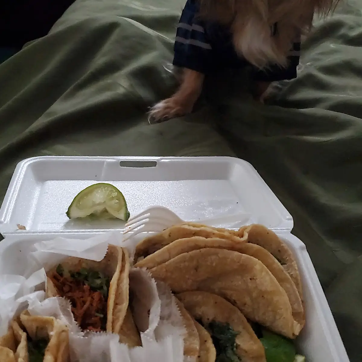 Carne Asada Taco