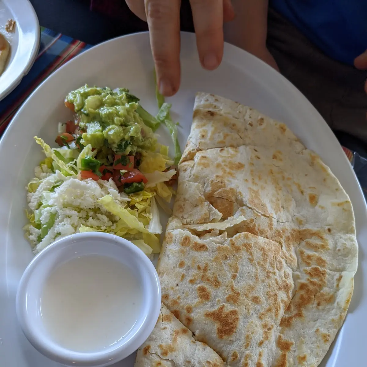 Kids chicken Quesadilla