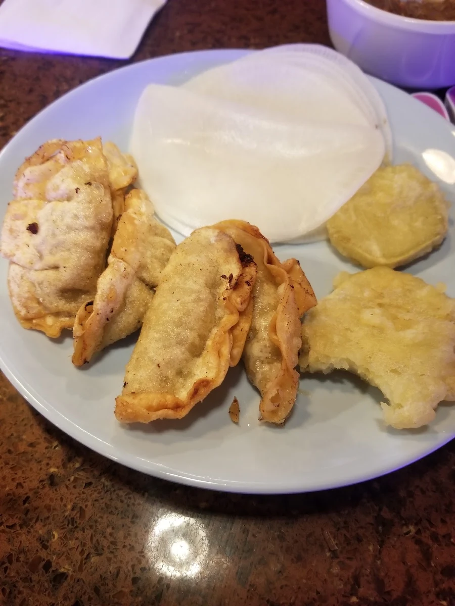 Fried Dumplings