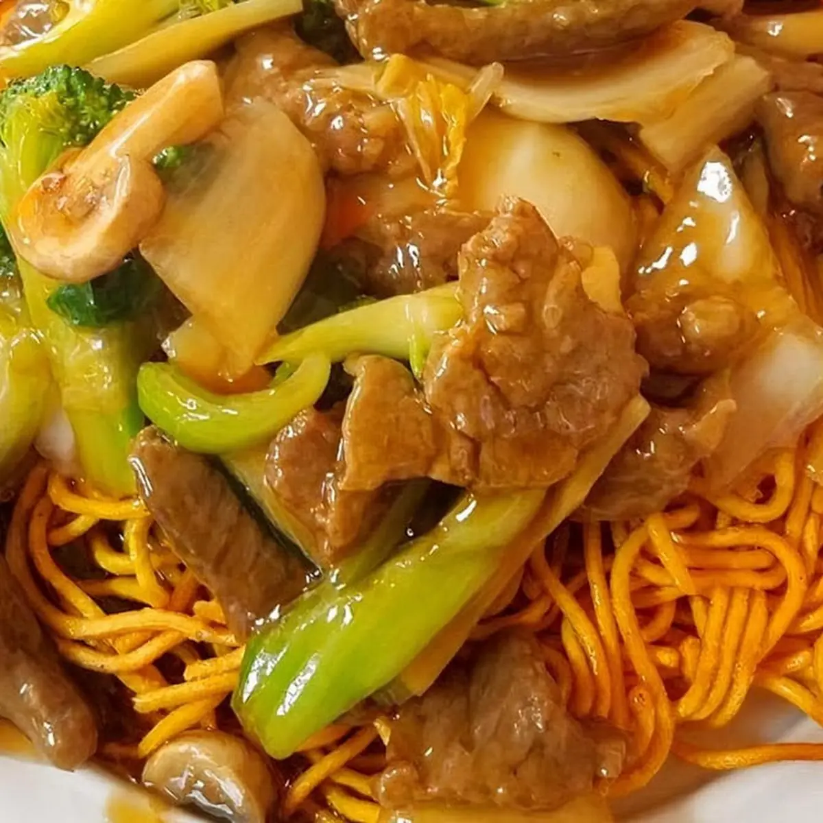Combination Pan Fried Noodles