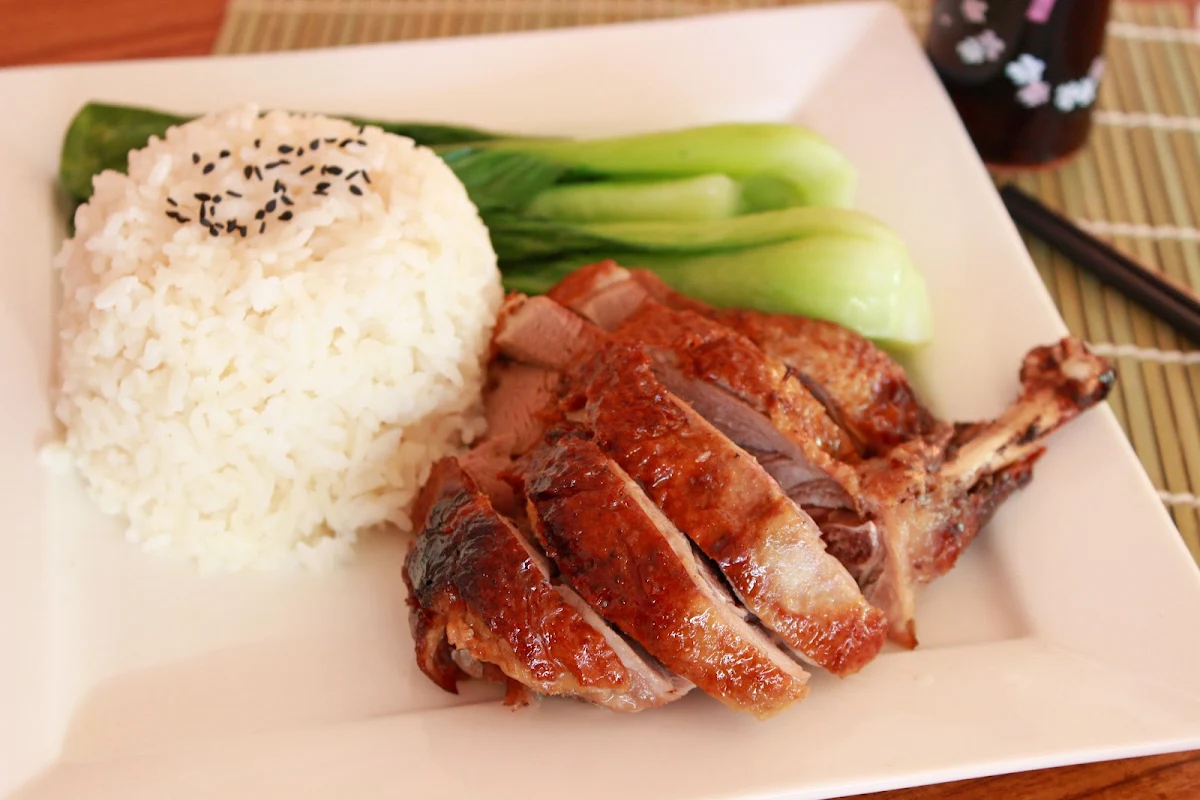 Roast Duck with Rice, Sushi and dumpling Hub