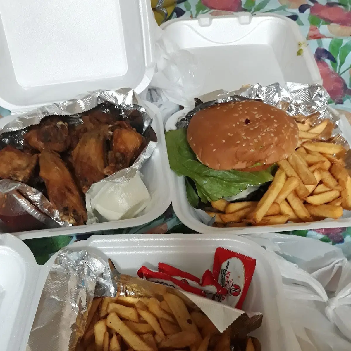 Plain Wings and Fries