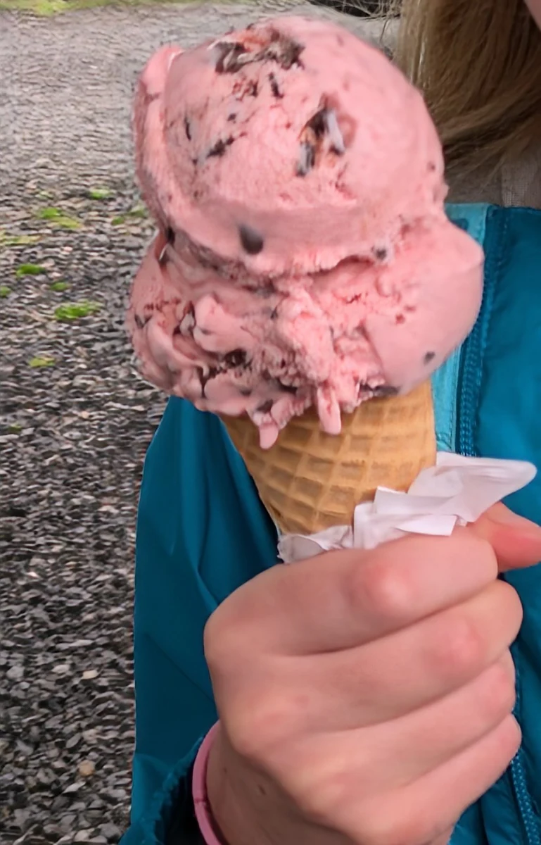 Raspberry Chocolate Chip Ice Cream Cone