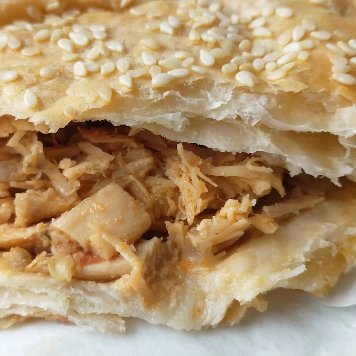 Chicken Empanadas