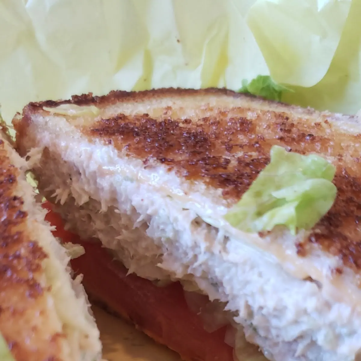 Tuna Melt