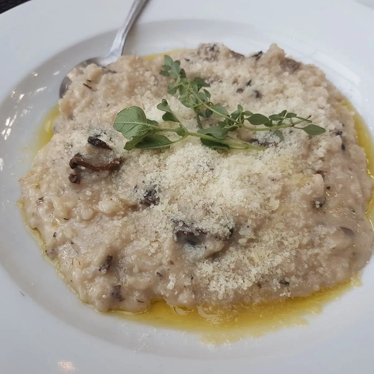 Mushroom Risotto