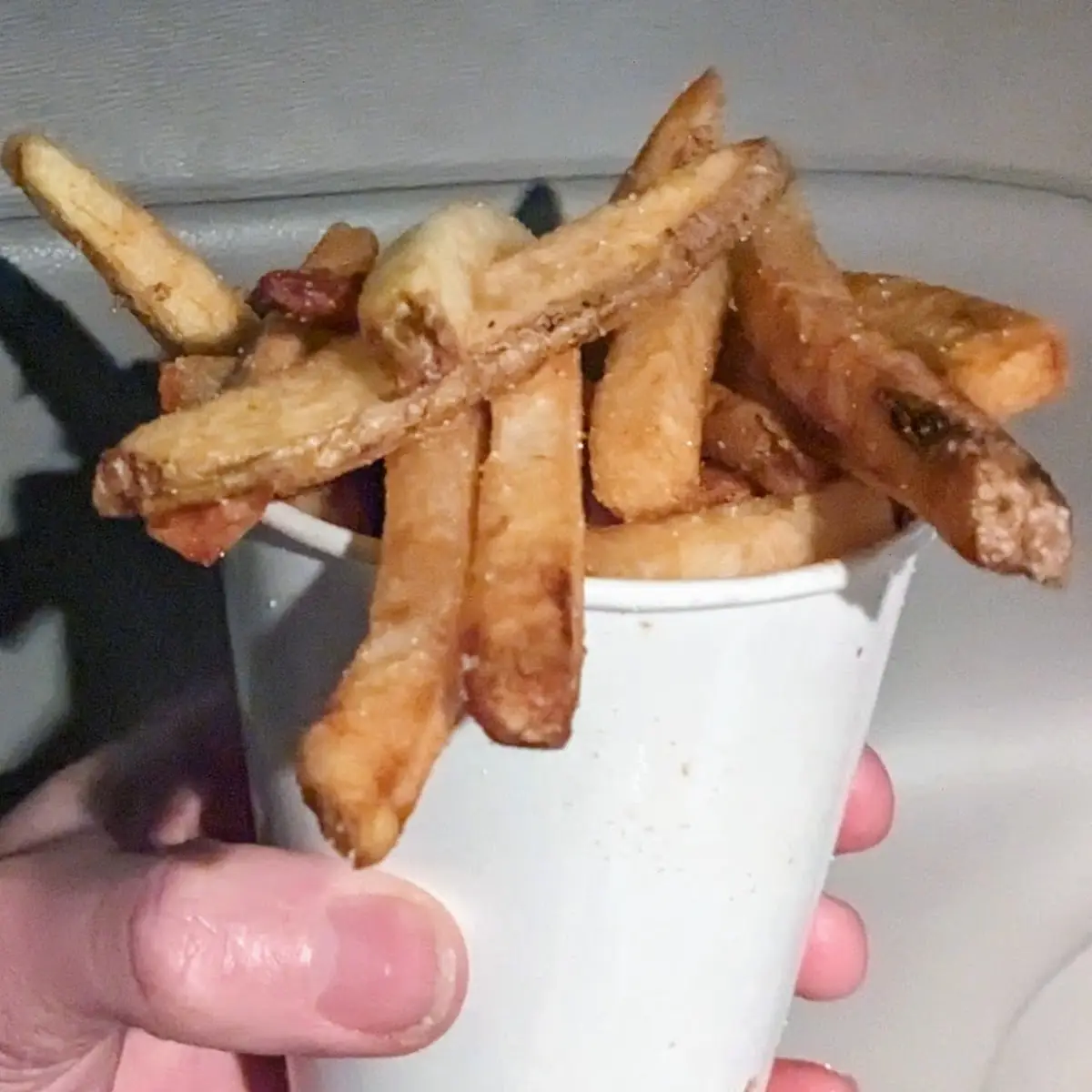 Five Guys Style Medium Fries