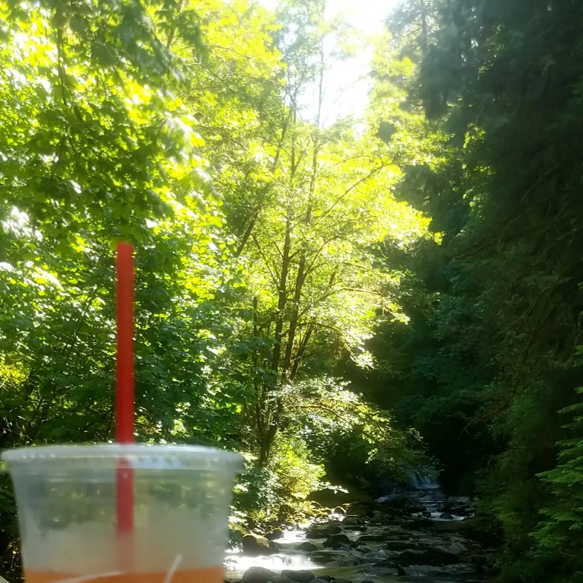 Mai Tai