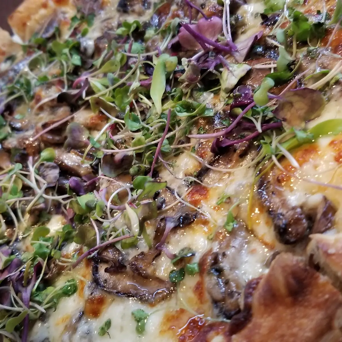 Wild Mushroom Pizza