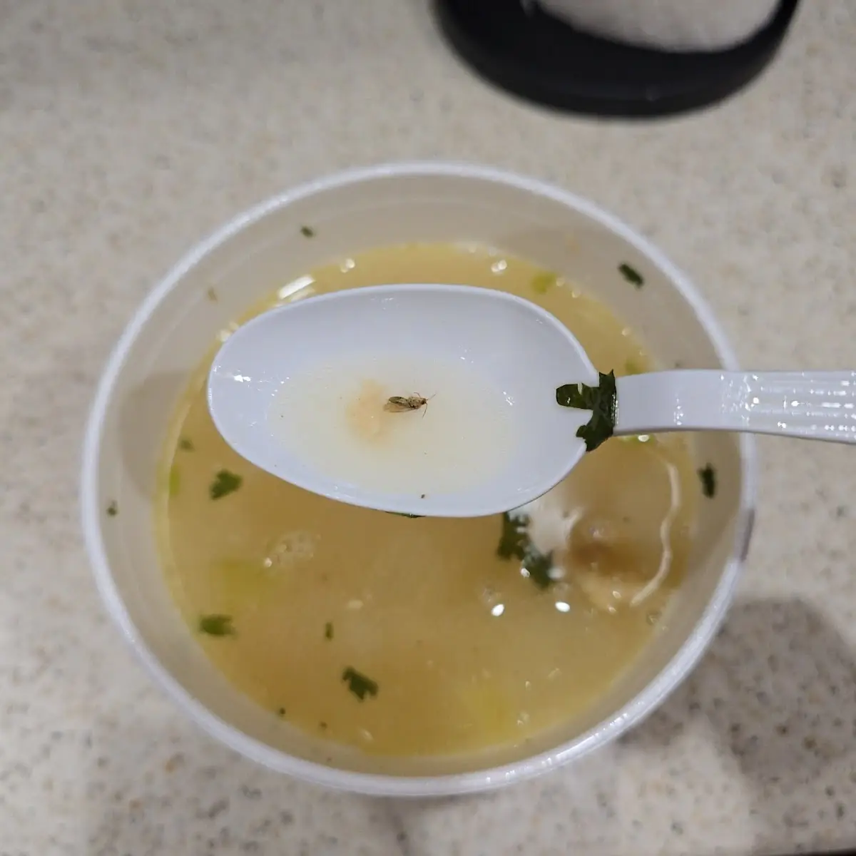 Chicken Soup
