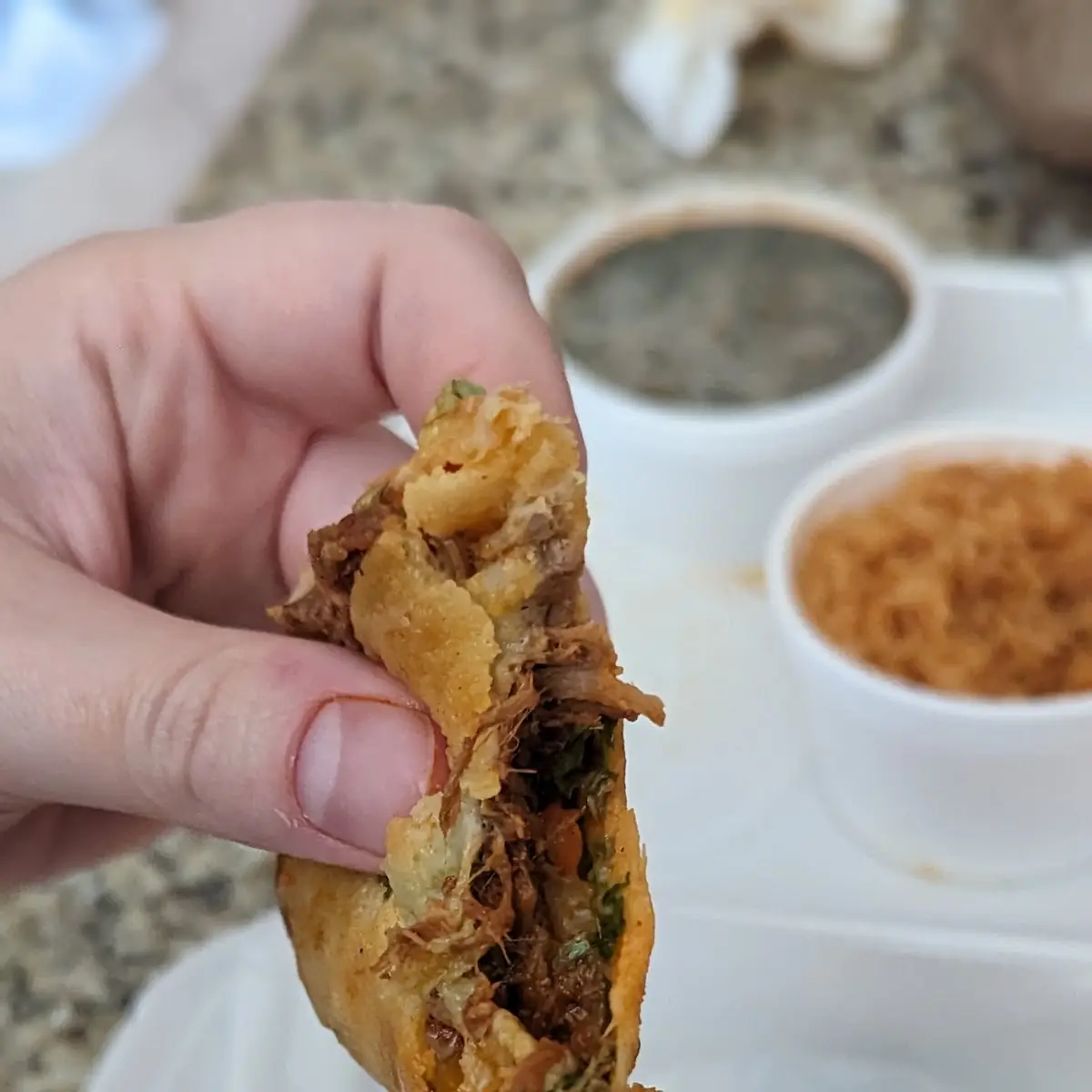 Egg roll birria