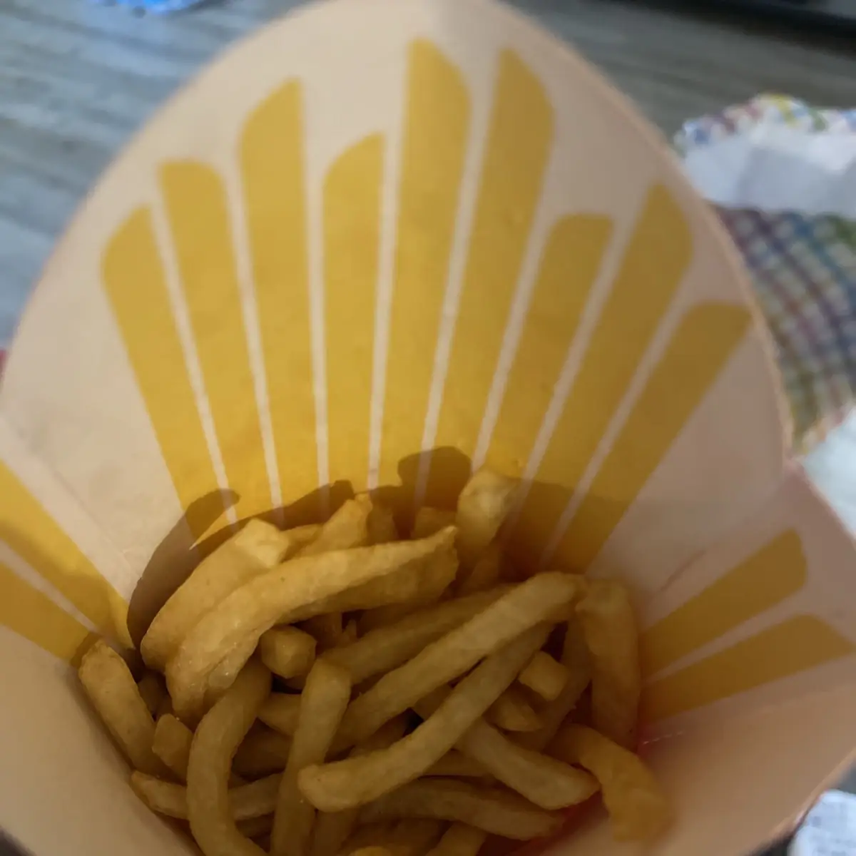 World Famous Fries