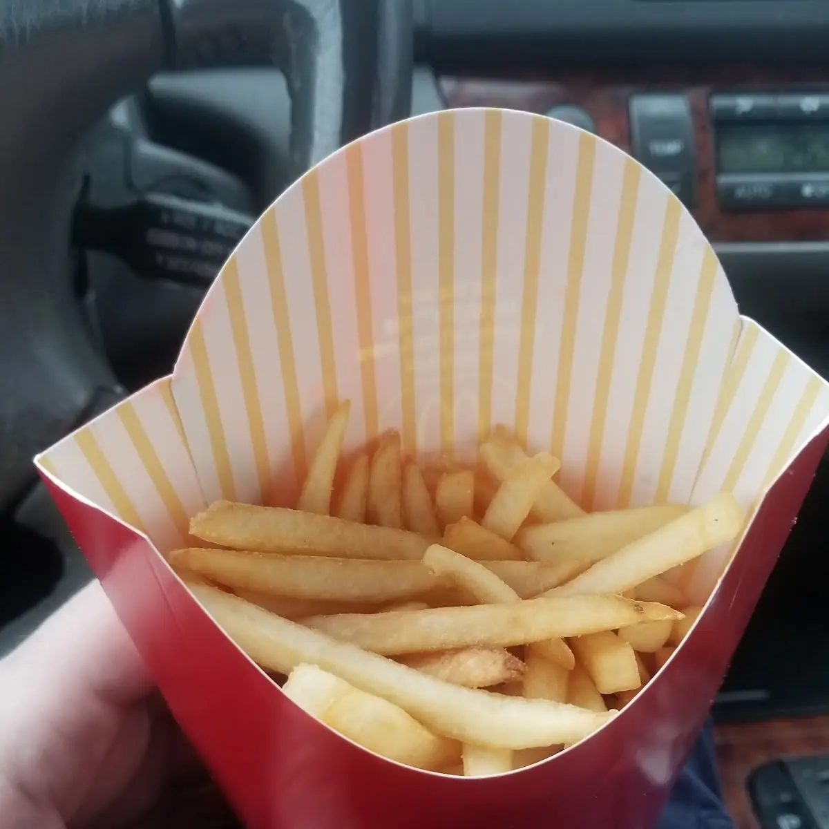 Large Fries, McDonald's