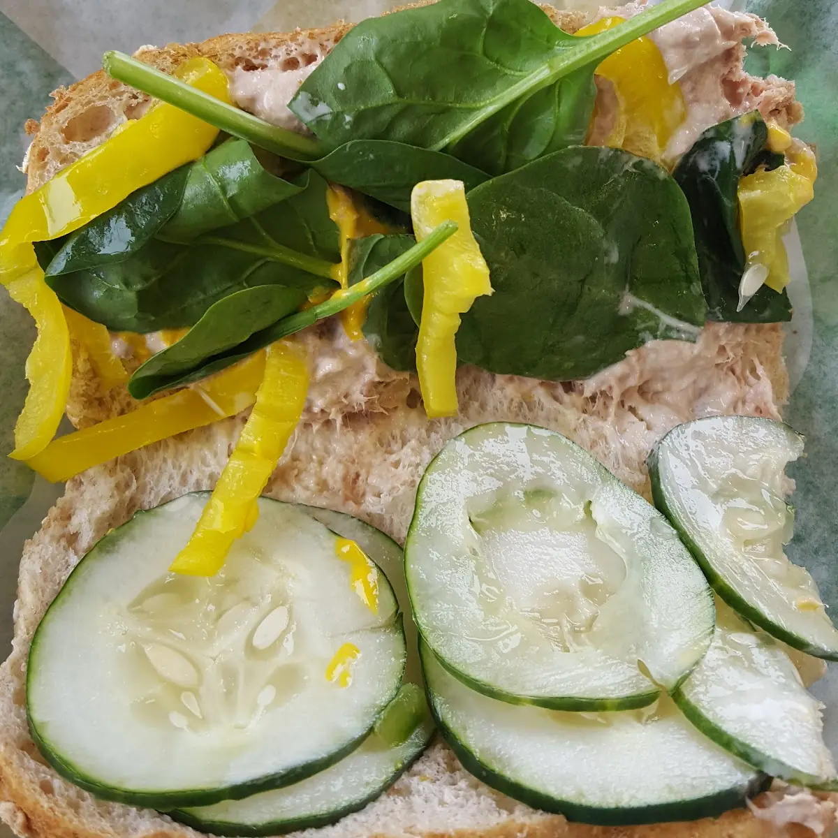 Tuna Sub
