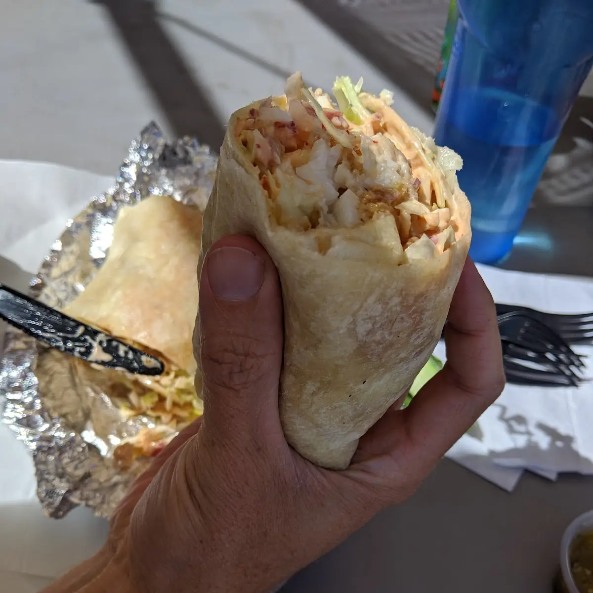 Fish Burrito
