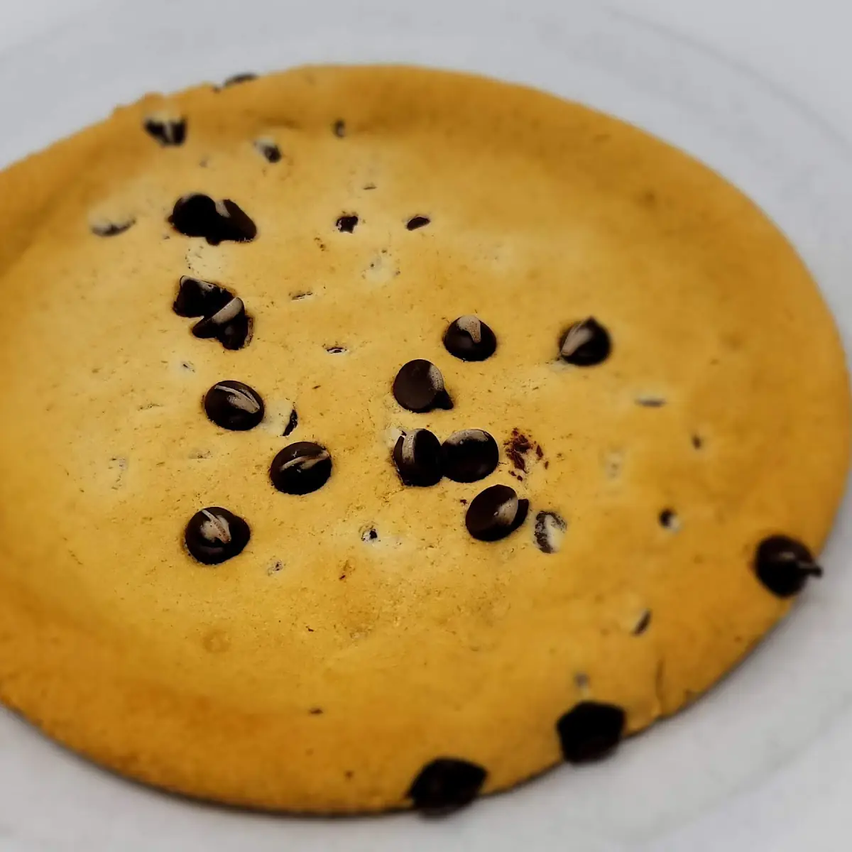 Chocolate Chip Cookie