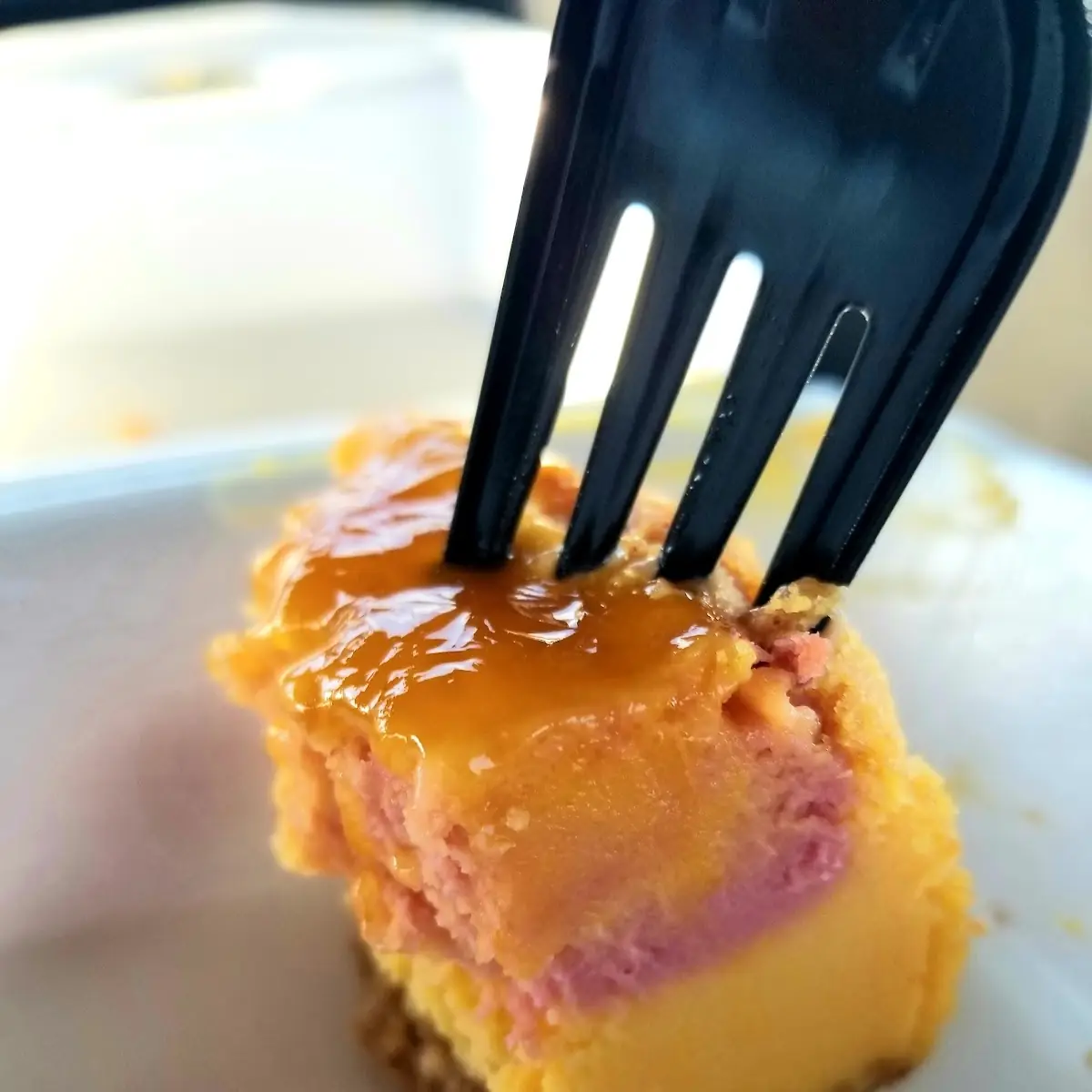 Raspberry Cheesecake