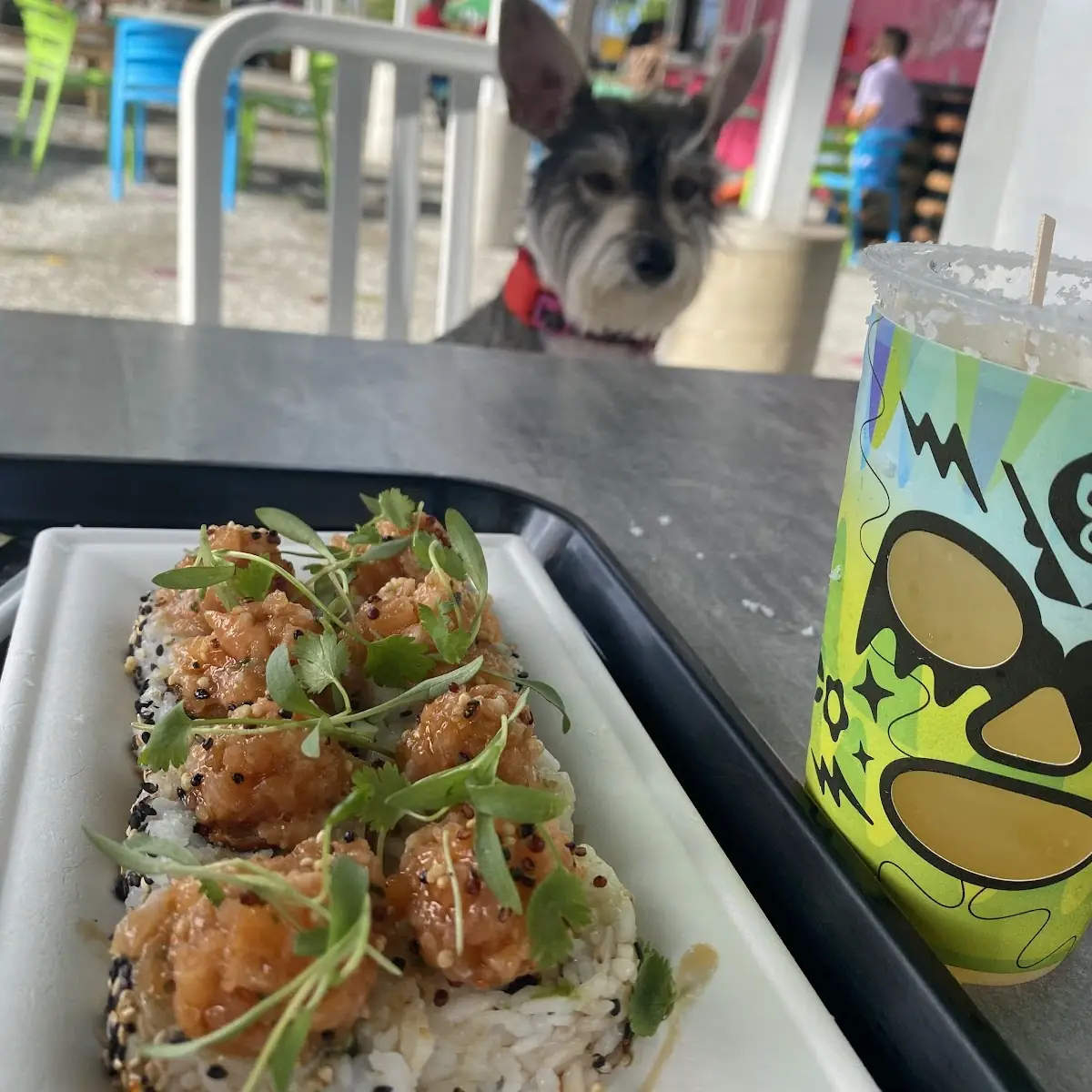 Sushi