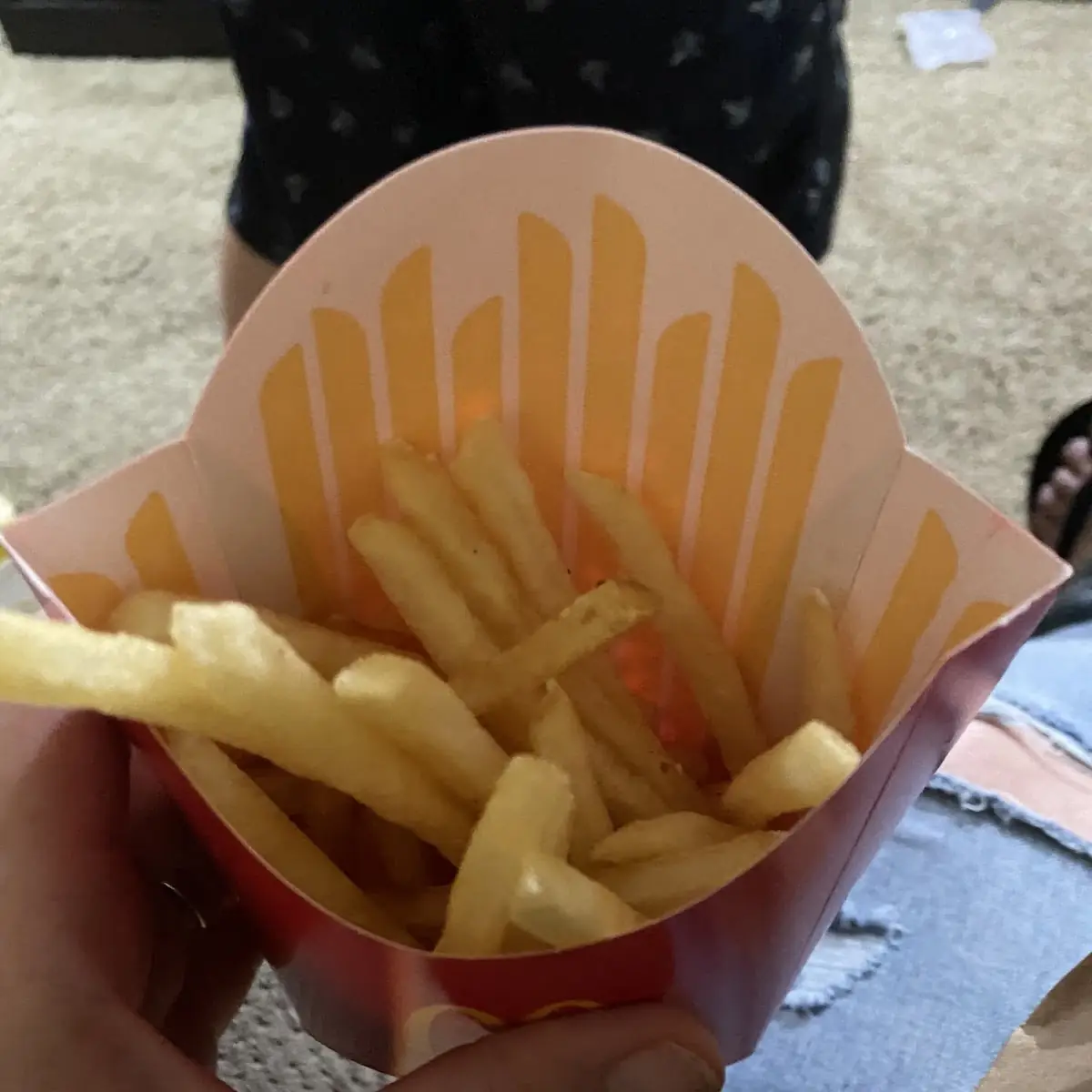 World Famous Fries