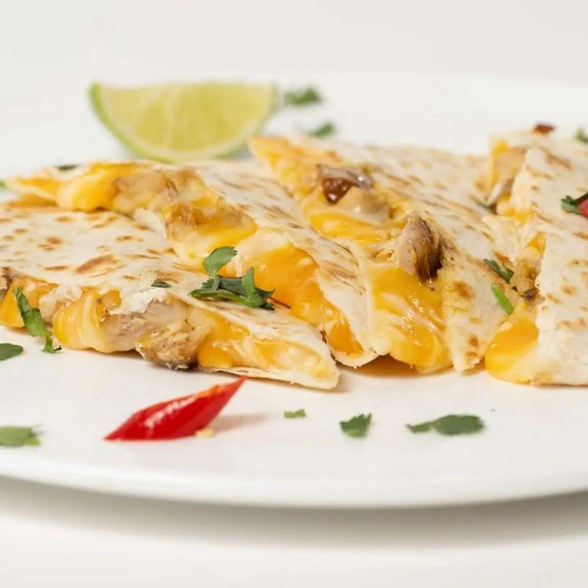 Cheese Quesadilla