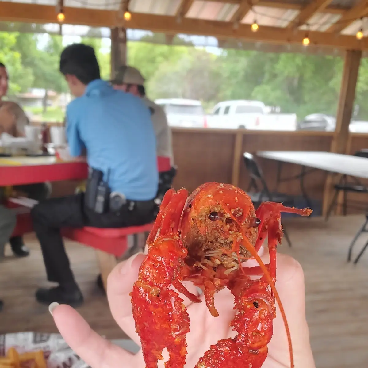 Lobster