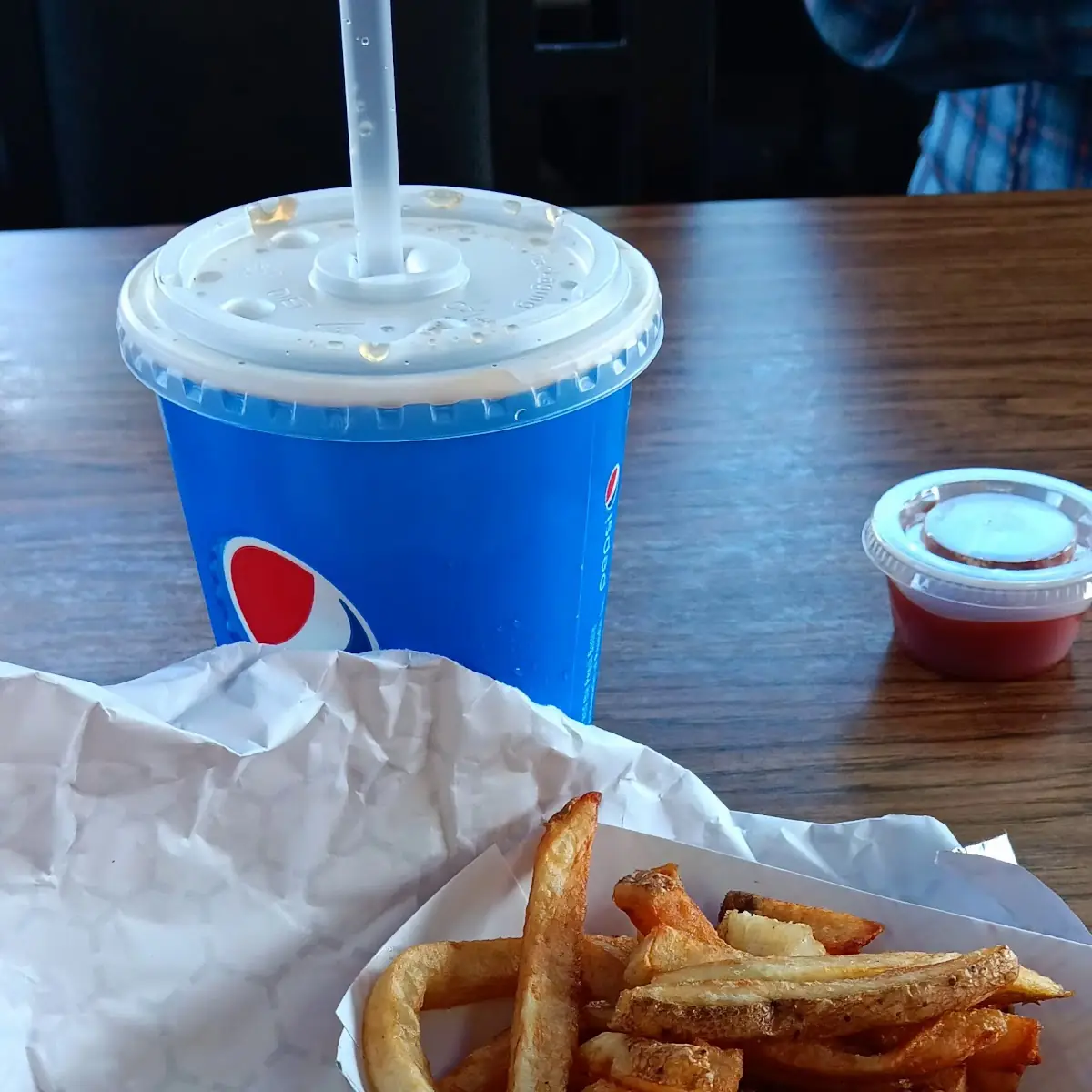 BBQ Pulled Pork Sandwich and Fries