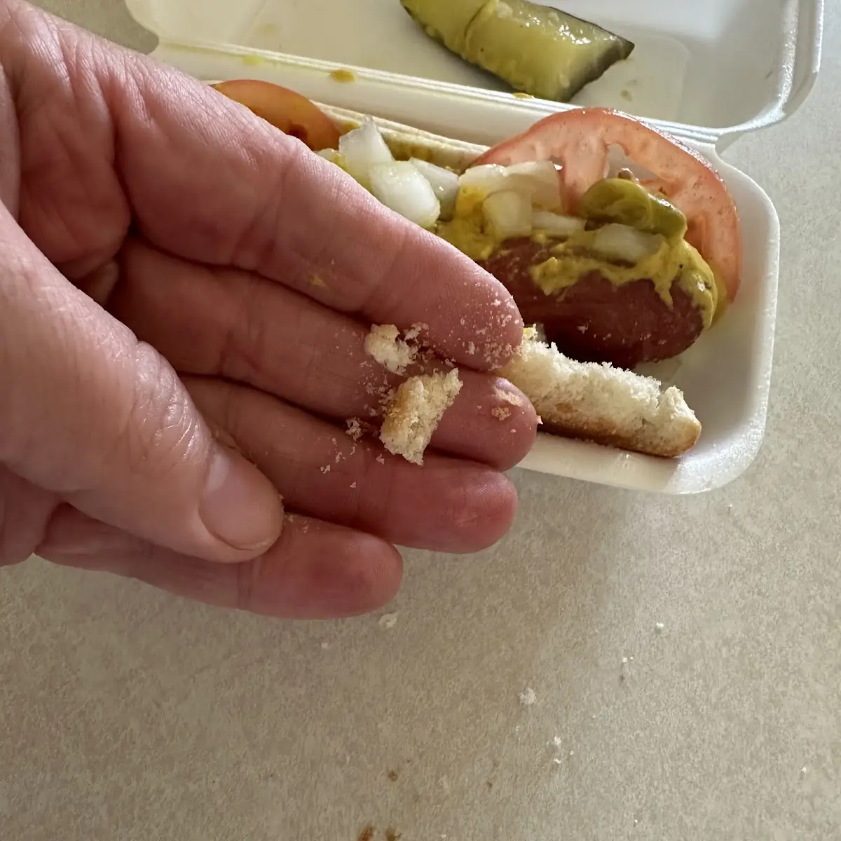 Hot Dog