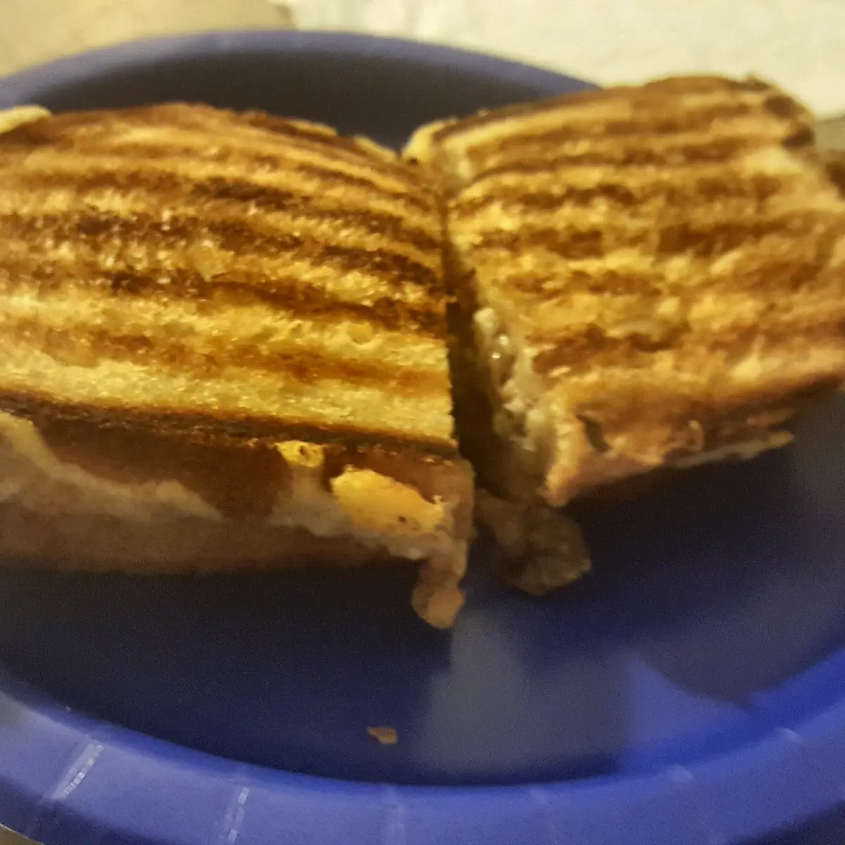Cheese Sandwich