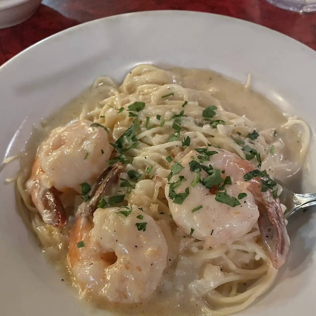 Shrimp Alfredo