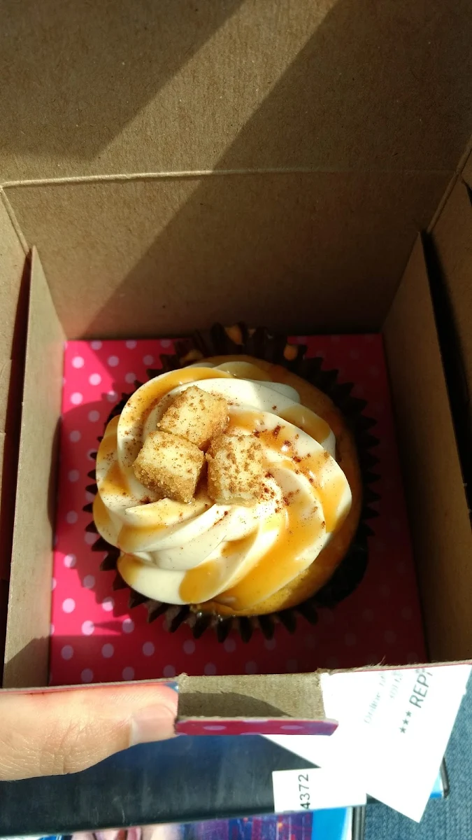 Pumpkin Cheesecake