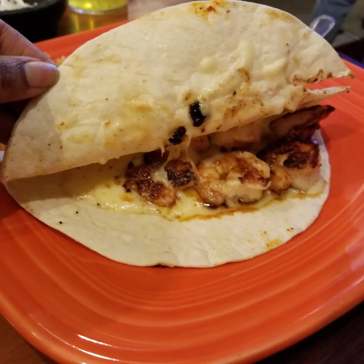 Kids Shrimp Quesadilla