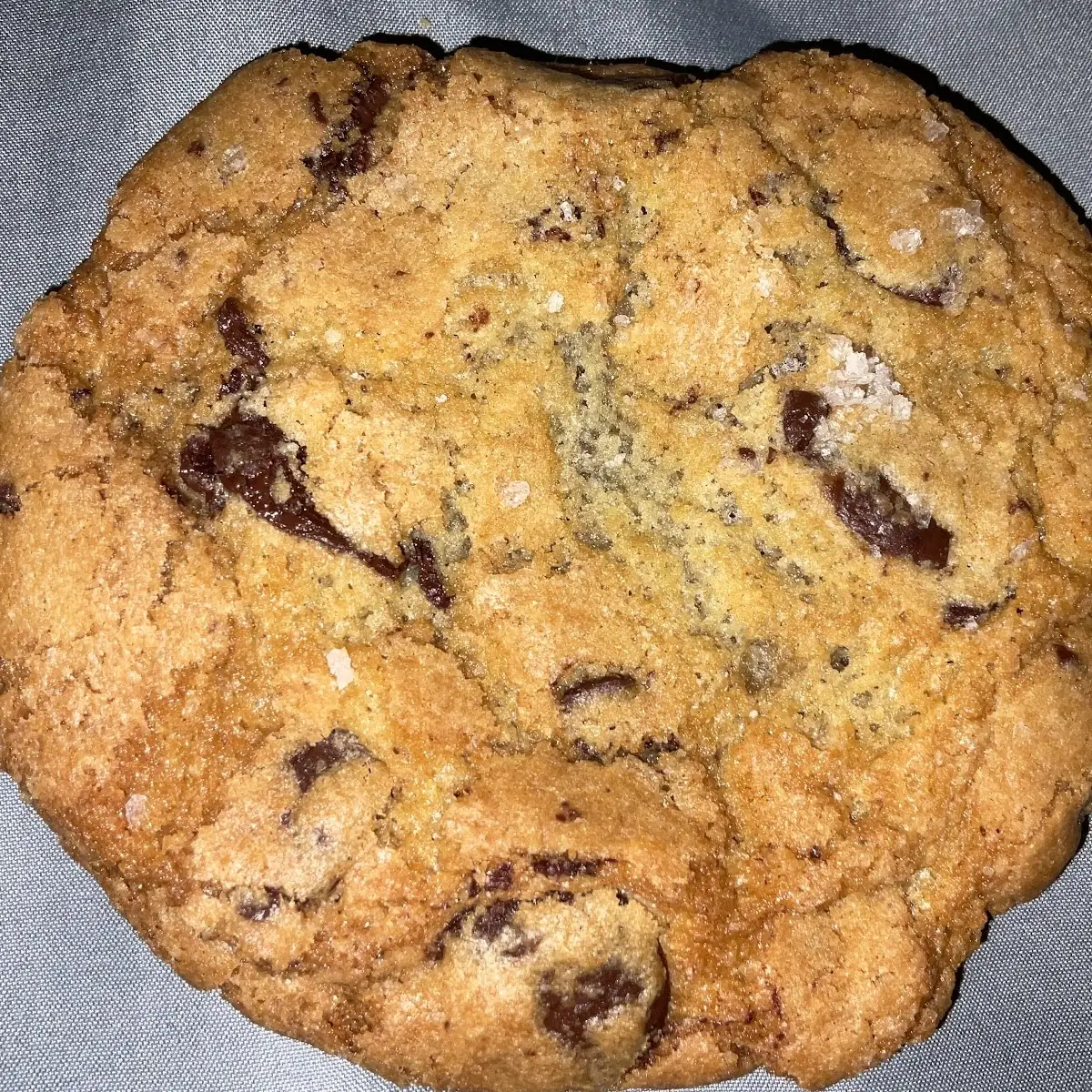 Chocolate Chip Cookie