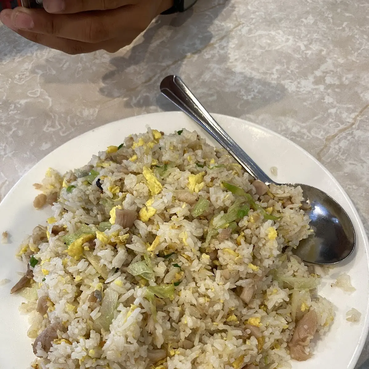 Chicken & Salted Fish Fried Rice