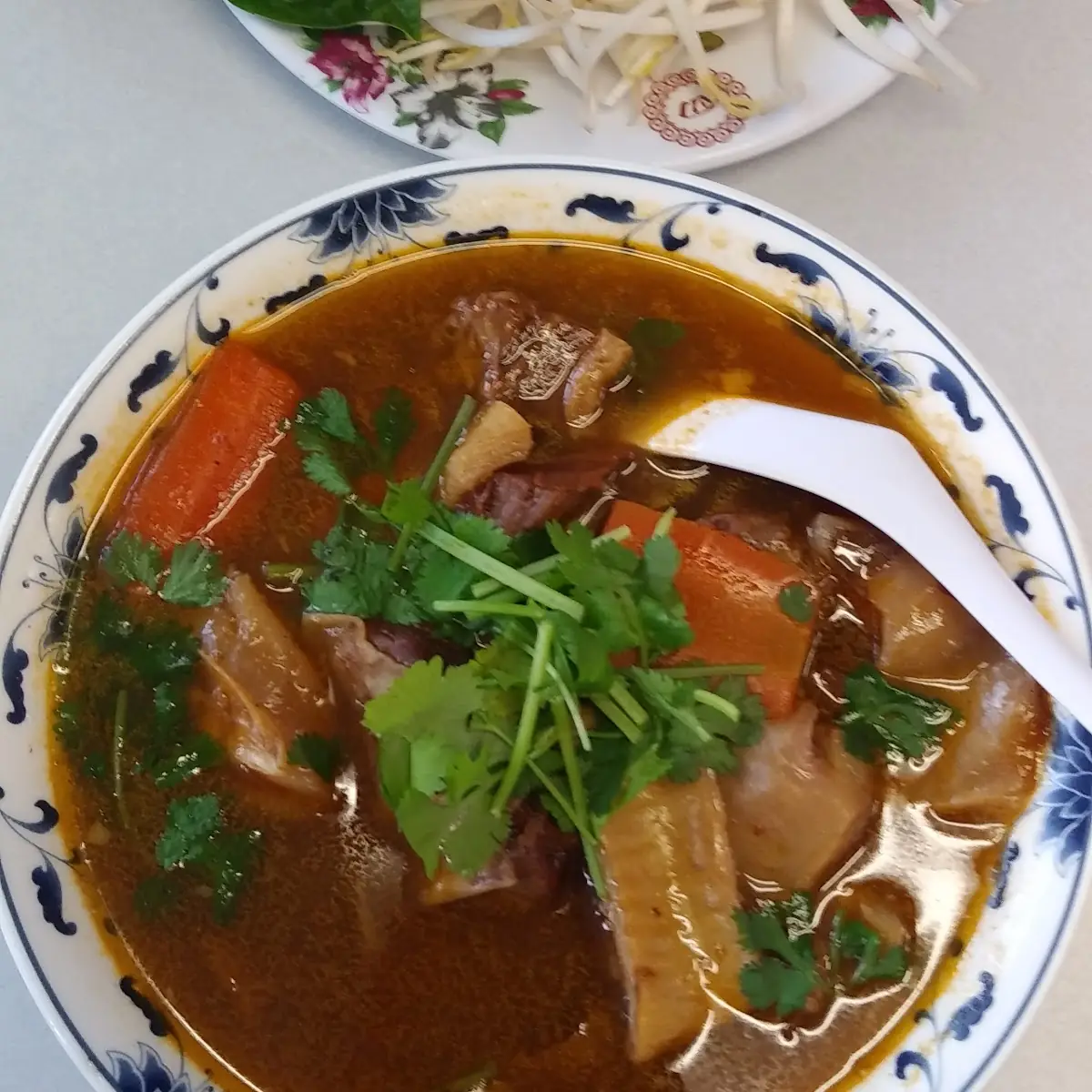Beef Stew Noodle Soup