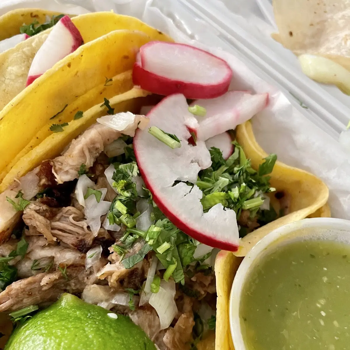 Pork Carnitas Tacos