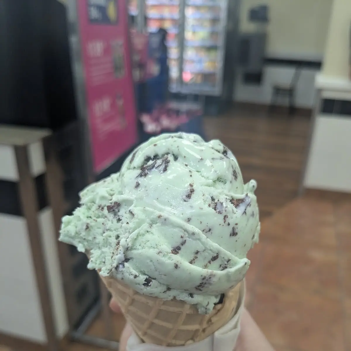 Mint Chocolate Chip