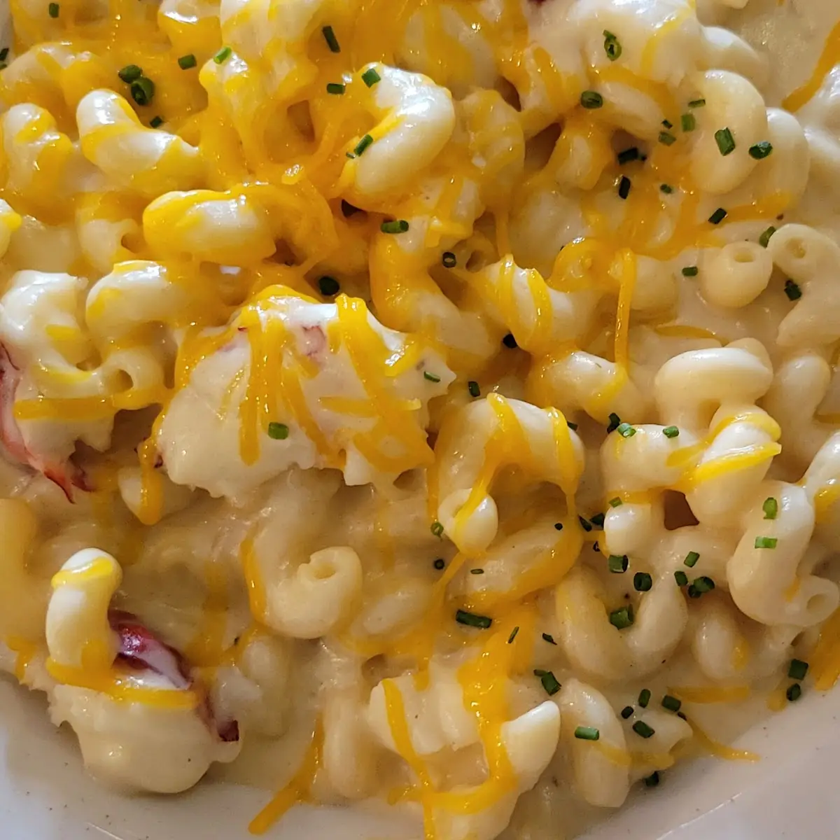 Lobster Mac and Cheese