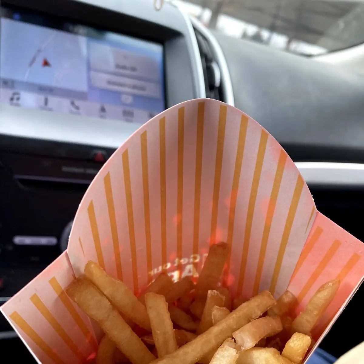 World Famous Fries
